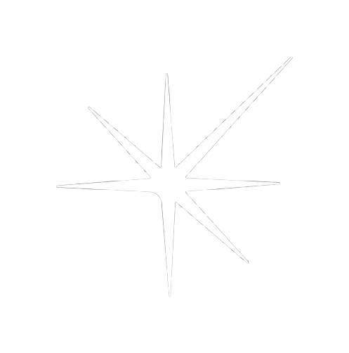 Starlight-Icon-White.webp